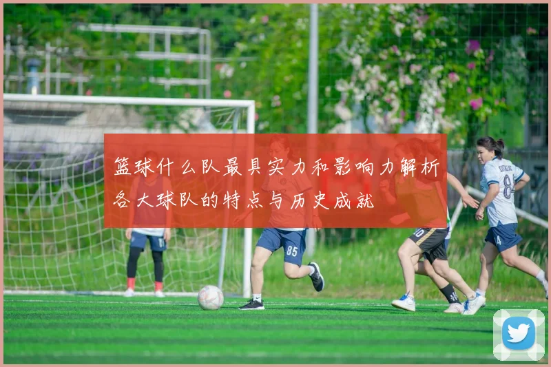 篮球什么队最具实力和影响力解析各大球队的特点与历史成就