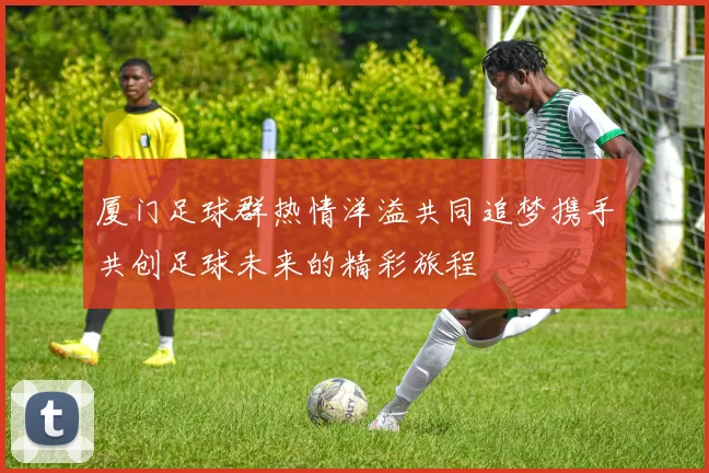 厦门足球群热情洋溢共同追梦携手共创足球未来的精彩旅程