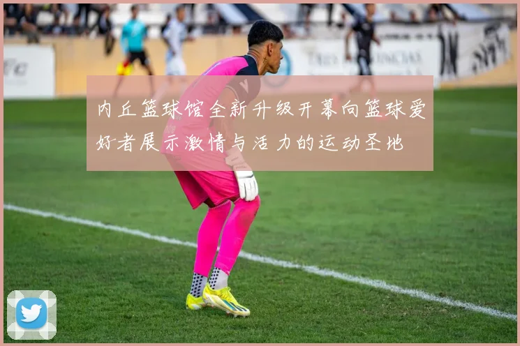 内丘篮球馆全新升级开幕向篮球爱好者展示激情与活力的运动圣地