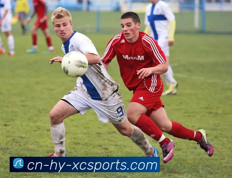 多媒体互动体验